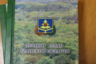 Утвержден Лесной план Брянской области на 2019-2028 гг. - фото 1