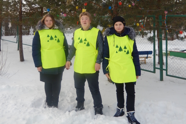 Учащиеся Ярославской области дали вторую жизнь  новогодним елям - фото 1
