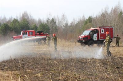 В Твери прошли ежегодные областные учения по тушению лесного пожара - фото 1
