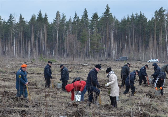 Всероссийский день посадки леса в Липецкой области - фото 1