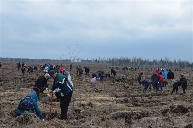 Всероссийский день посадки леса в Липецкой области - фото 2