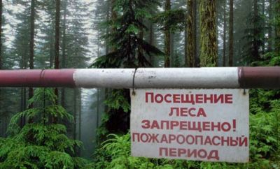 Противопожарные меры в населенных пунктах Костромской области,  примыкающих к лесным массивам - фото 1