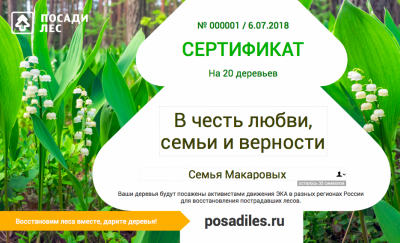Ко Дню любви, семьи и верности жители Владимирской области могут посадить семейный лес - фото 1
