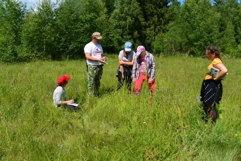 Ребята из школьных лесничеств Ярославской области приняли участие в экспедиции «Моя малая Родина» - фото 2