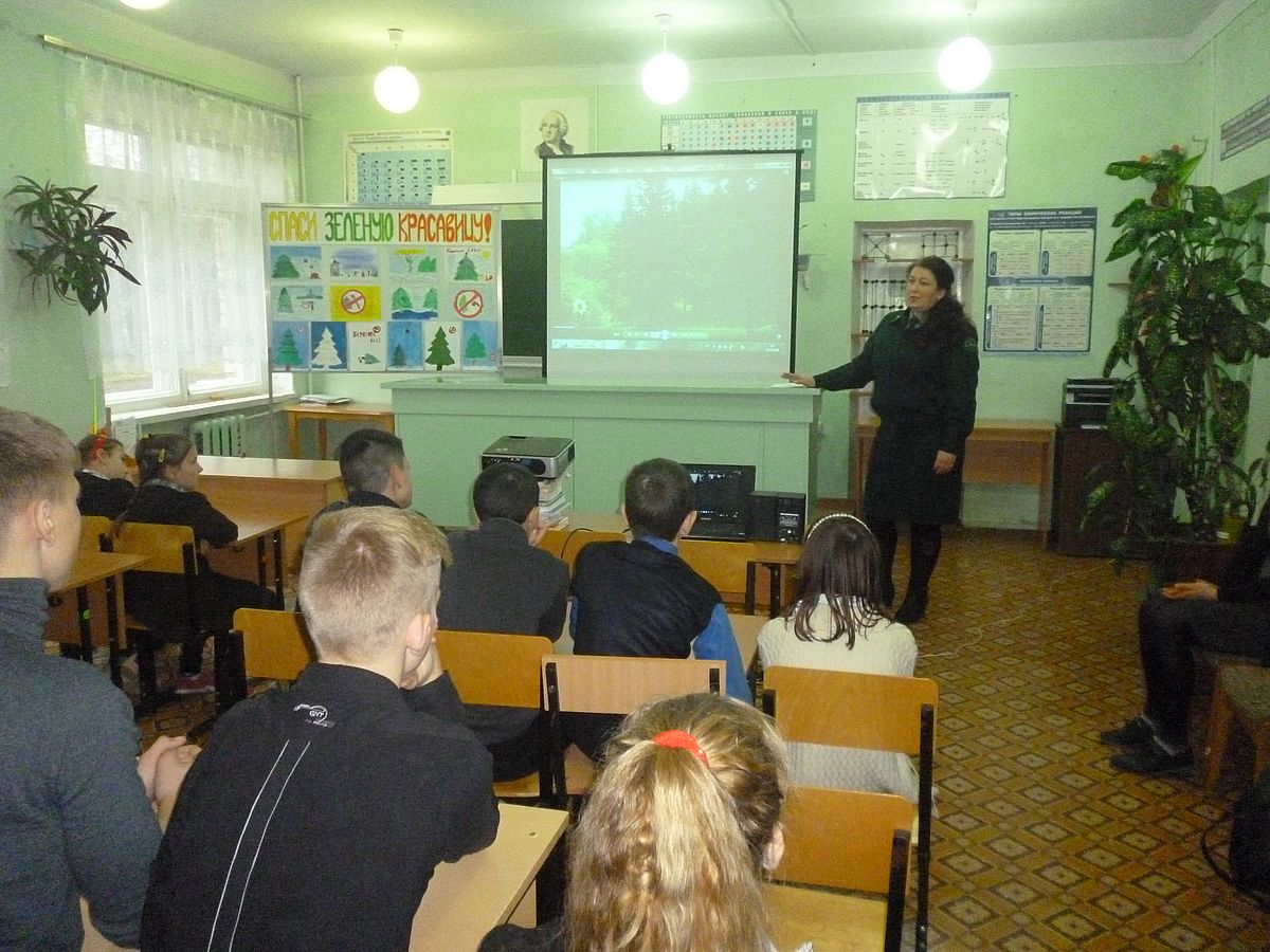 Природоохранная акция «Елочка, живи!» проходит в Курской области - фото 1