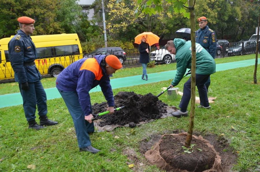 «ЭкоГрад» увидел, как Антон Кульбачевский и Павел Барышев заложили аллею деревьев на Кременчугской улице - фото 5