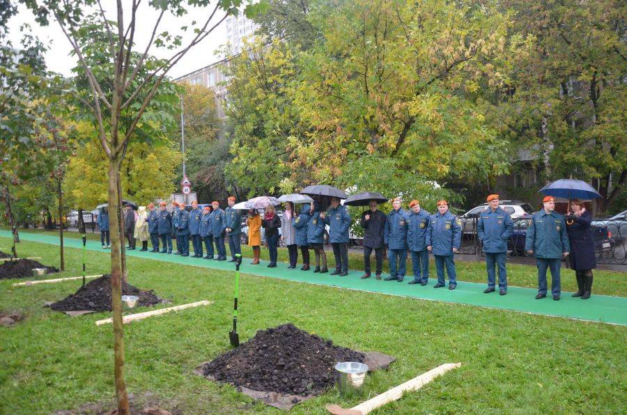 «ЭкоГрад» увидел, как Антон Кульбачевский и Павел Барышев заложили аллею деревьев на Кременчугской улице - фото 11