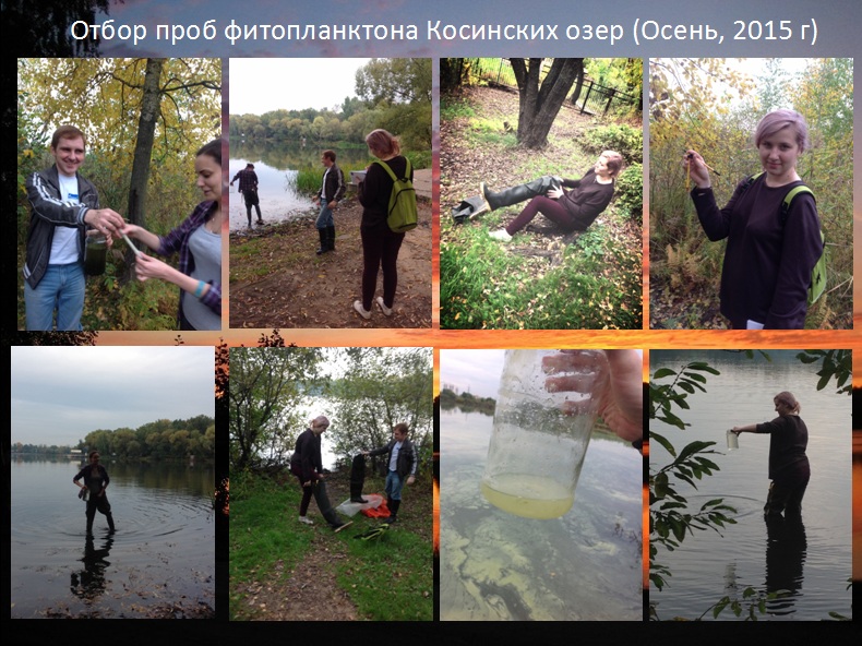 Защита дипломных работ по изучению природы Косино-Ухтомского района г. Москвы - фото 57