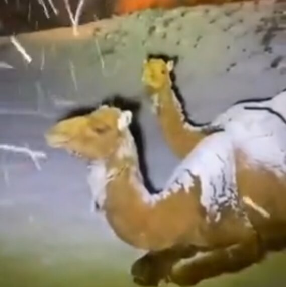 Жители Саудовской Аравии радуются снегопаду - фото 1