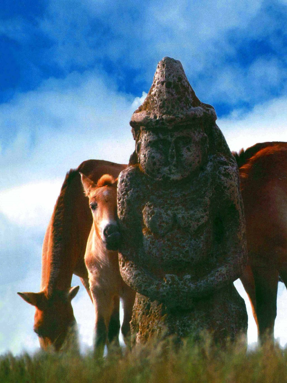 Лошадь Пржевальского — последние дикие лошади на планете - фото 20