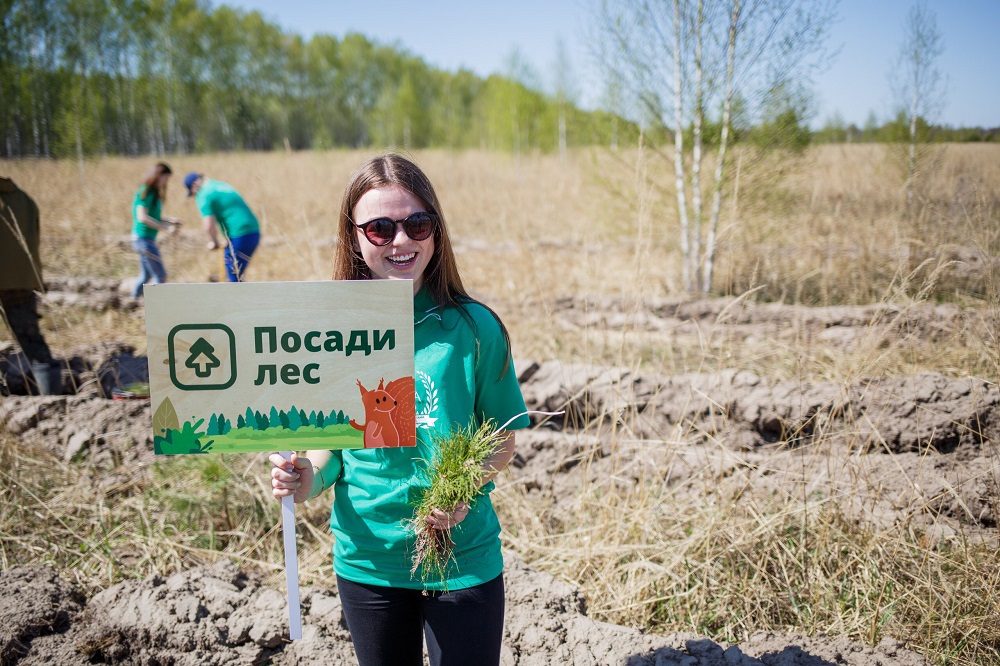 Жителей Мордовии приглашают на посадку деревьев в Краснослободском и Старошайговском районах - фото 1